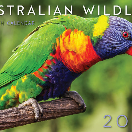 2026 Australian Wildlife Rectangle Wall Calendar