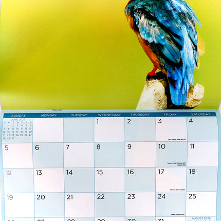Birds - 2026 Rectangle Wall Calendar 16 Months Hanging Animal Planner New Year