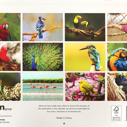 Birds - 2026 Rectangle Wall Calendar 16 Months Hanging Animal Planner New Year
