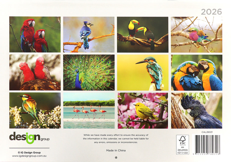 Birds - 2026 Rectangle Wall Calendar 16 Months Hanging Animal Planner New Year