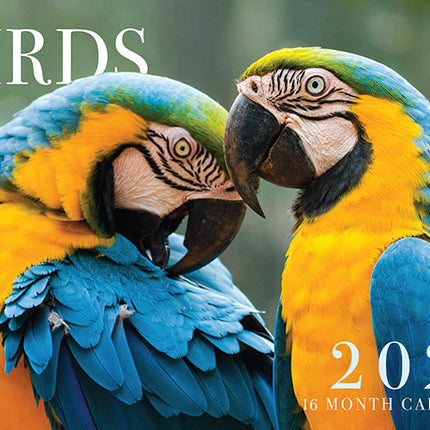 2026 Birds Rectangle Wall Calendar
