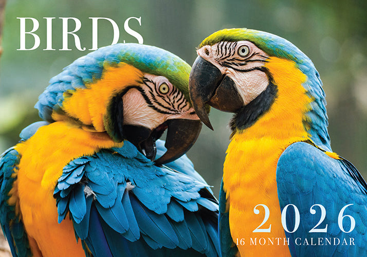 2026 Birds Rectangle Wall Calendar