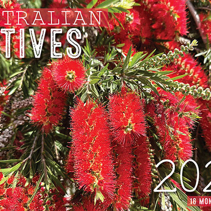 2026 Australian Natives Rectangle Wall Calendar