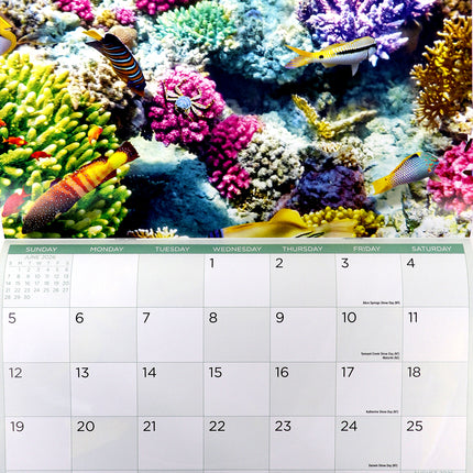Ocean Animals - 2026 Rectangle Wall Calendar 16 Months Hanging Planner New Year