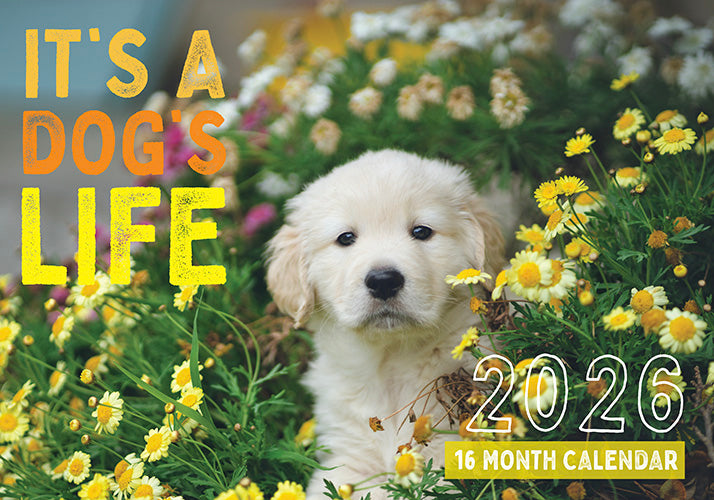 2026 It’s a Dog’s Life Rectangle Wall Calendar