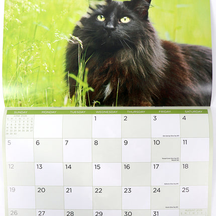 Purfect Cats 2026 Rectangle Wall Calendar 16 Months Hanging Animal Planner Gift