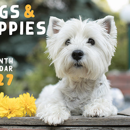Dogs & Puppies 2027 Rectangle Wall Calendar