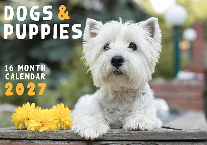 Dogs & Puppies 2027 Rectangle Wall Calendar