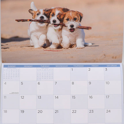 Dogs & Puppies - 2027 Rectangle Wall Calendar 16 Months Pets Lovers Planner Gift