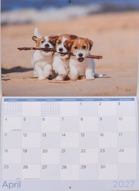 Dogs & Puppies - 2027 Rectangle Wall Calendar 16 Months Pets Lovers Planner Gift