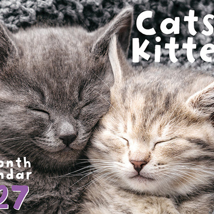 Cats & Kittens 2027 Rectangle Wall Calendar