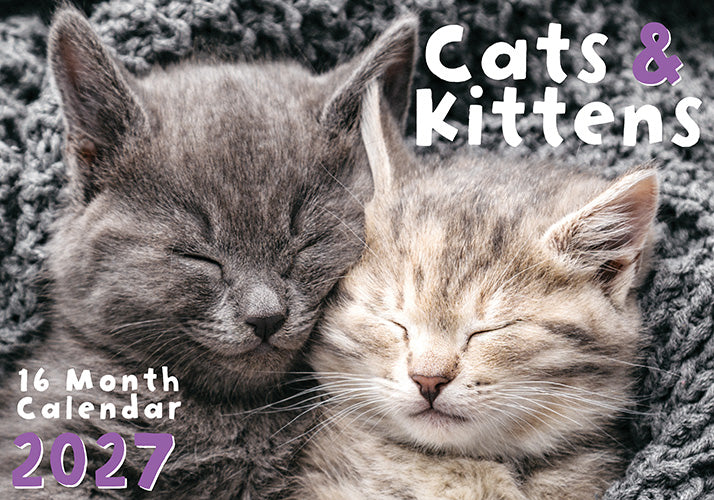 Cats & Kittens 2027 Rectangle Wall Calendar