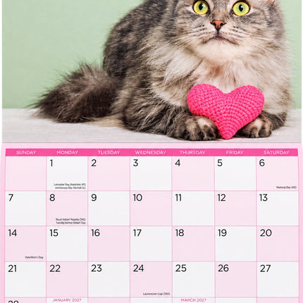 Cats & Kittens - 2027 Rectangle Wall Calendar 16 Months Pets Lovers Planner Gift