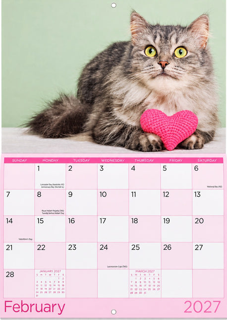 Cats & Kittens - 2027 Rectangle Wall Calendar 16 Months Pets Lovers Planner Gift