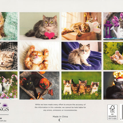 Cats & Kittens - 2027 Rectangle Wall Calendar 16 Months Pets Lovers Planner Gift