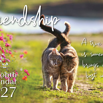 Friendship 2027 Rectangle Wall Calendar