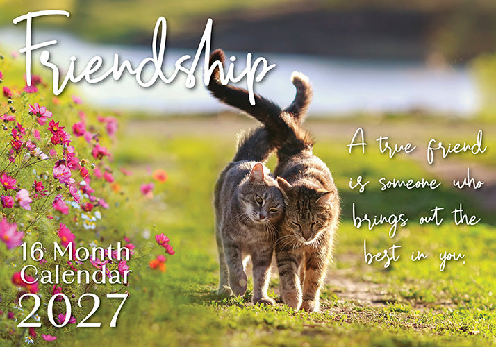 Friendship 2027 Rectangle Wall Calendar