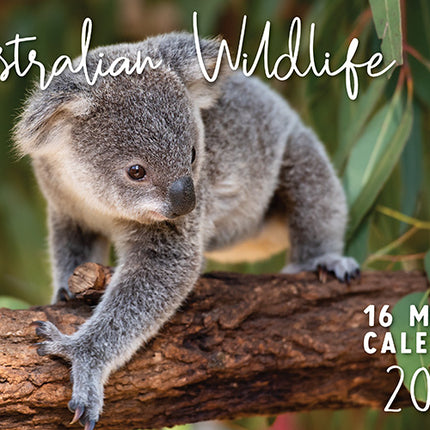 Australian Wildlife 2027 Rectangle Wall Calendar