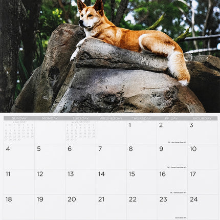 Australian Wildlife 2027 Rectangle Wall Calendar 16 Month Aussie Animals Planner