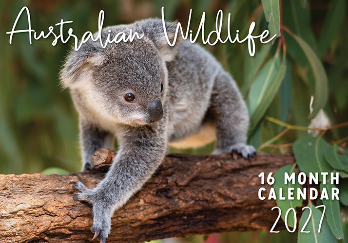 Australian Wildlife 2027 Rectangle Wall Calendar 16 Month Aussie Animals Planner