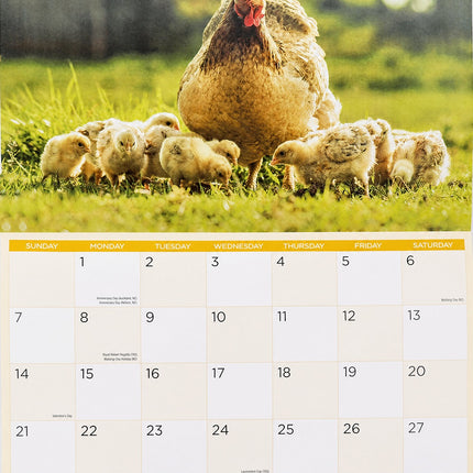 Country Life 2027 Rectangle Wall Calendar 16 Months Rural Charm New Year Planner