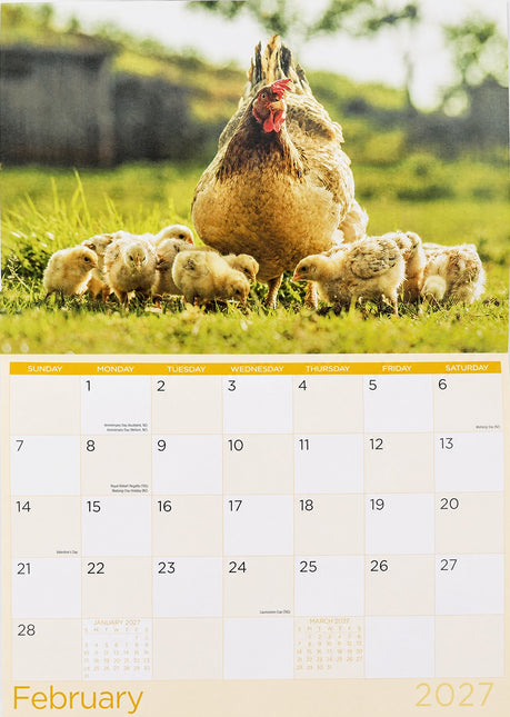 Country Life 2027 Rectangle Wall Calendar 16 Months Rural Charm New Year Planner