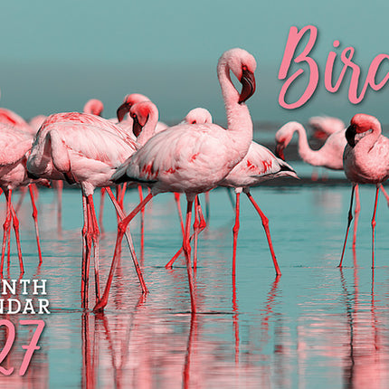 Birds 2027 Rectangle Wall Calendar