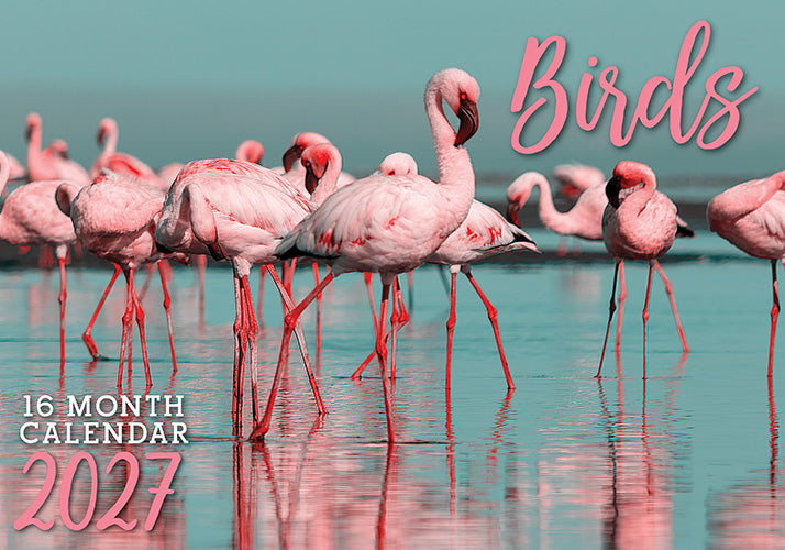 Birds 2027 Rectangle Wall Calendar