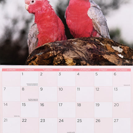 Birds - 2027 Rectangle Wall Calendar 16 Months Animals Hanging New Year Planner