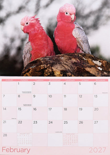 Birds - 2027 Rectangle Wall Calendar 16 Months Animals Hanging New Year Planner