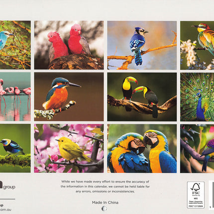 Birds - 2027 Rectangle Wall Calendar 16 Months Animals Hanging New Year Planner