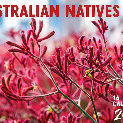 Australia Natives 2027 Rectangle Wall Calendar