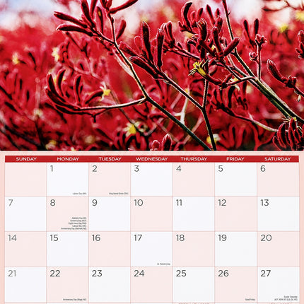 Australia Natives - 2027 Rectangle Wall Calendar 16 Months Flower Floral Planner
