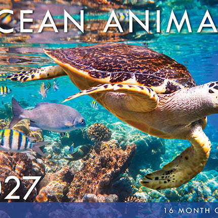 Ocean Animals 2027 Rectangle Wall Calendar