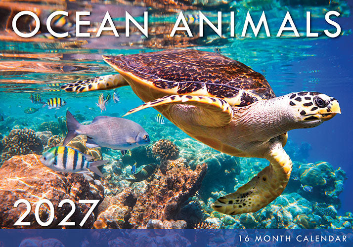 Ocean Animals 2027 Rectangle Wall Calendar
