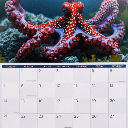 Ocean Animals 2027 Rectangle Wall Calendar 16 Month Marine Life New Year Planner
