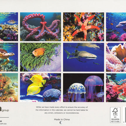 Ocean Animals 2027 Rectangle Wall Calendar 16 Month Marine Life New Year Planner