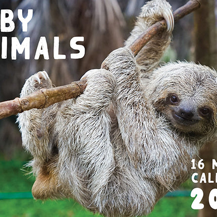 Baby Animals 2027 Rectangle Wall Calendar