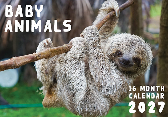 Baby Animals 2027 Rectangle Wall Calendar