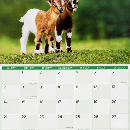 Baby Animals - 2027 Rectangle Wall Calendar 16 Months Hanging New Year Planner
