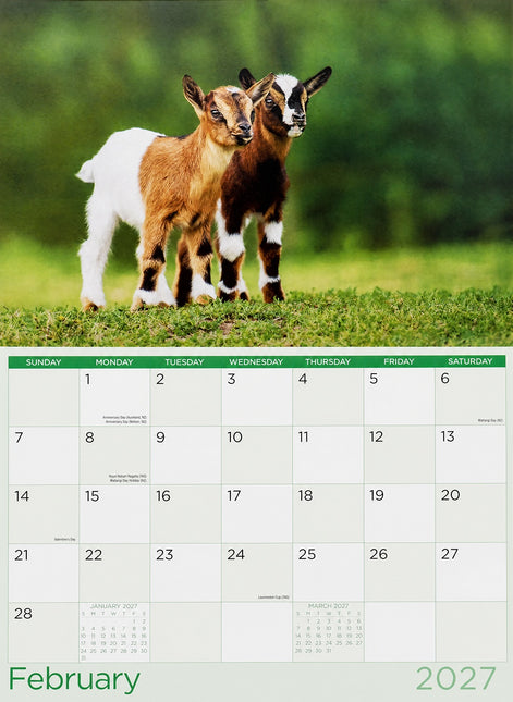 Baby Animals - 2027 Rectangle Wall Calendar 16 Months Hanging New Year Planner