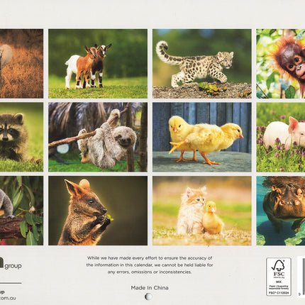 Baby Animals - 2027 Rectangle Wall Calendar 16 Months Hanging New Year Planner