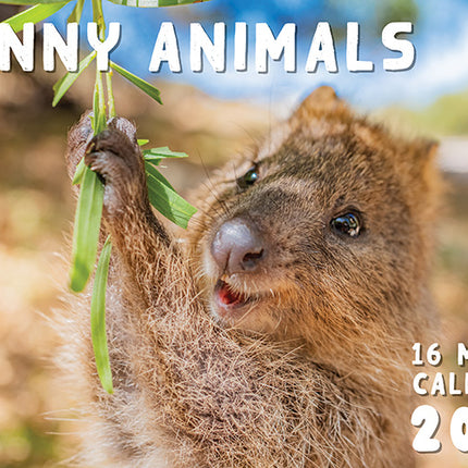 Funny Animals 2027 Rectangle Wall Calendar