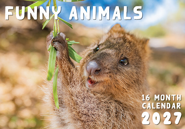Funny Animals 2027 Rectangle Wall Calendar