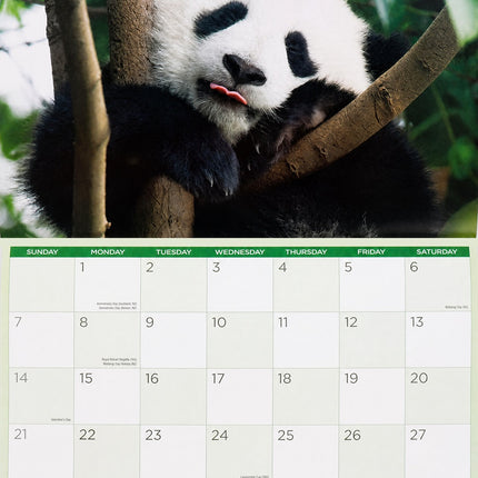 Funny Animals 2027 Rectangle Wall Calendar 16 Months Playful Humour Planner Gift