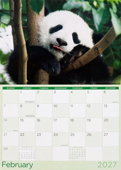 Funny Animals 2027 Rectangle Wall Calendar 16 Months Playful Humour Planner Gift