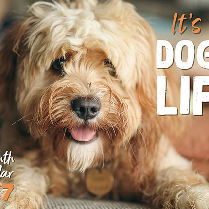It's A Dog's Life 2027 Rectangle Wall Calendar