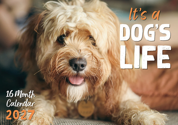 It's A Dog's Life 2027 Rectangle Wall Calendar