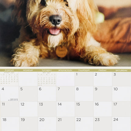 It's A Dog's Life 2027 Rectangle Wall Calendar Funny Dogs New Year Planner Gift