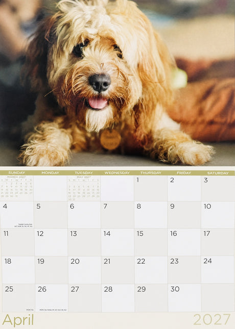 It's A Dog's Life 2027 Rectangle Wall Calendar Funny Dogs New Year Planner Gift